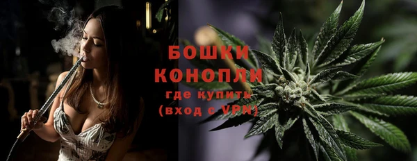 индика Гусь-Хрустальный