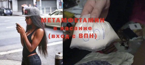 индика Гусь-Хрустальный
