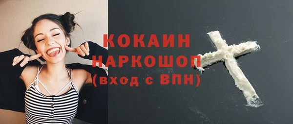 индика Гусь-Хрустальный