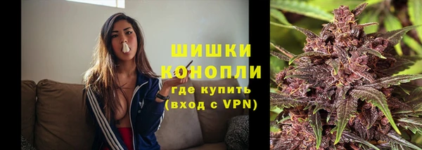 индика Гусь-Хрустальный