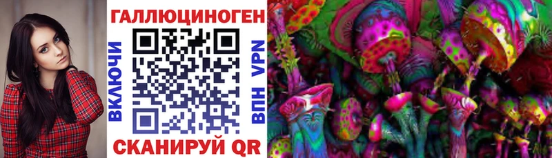 продажа наркотиков Благовещенск Псилоцибиновые грибы Magic Shrooms