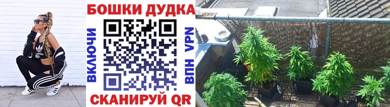 кракен ТОР  Благовещенск  Шишки марихуана White Widow 